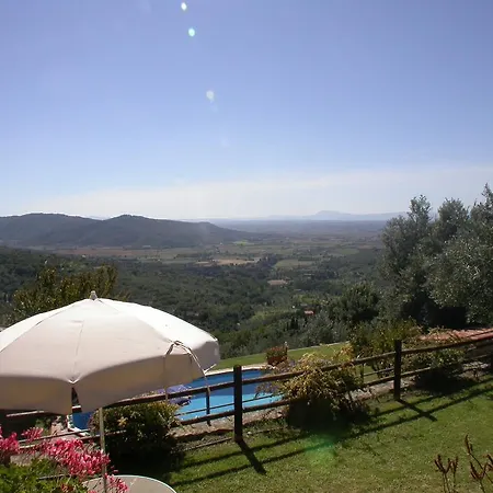 Ciliegio Cortona
