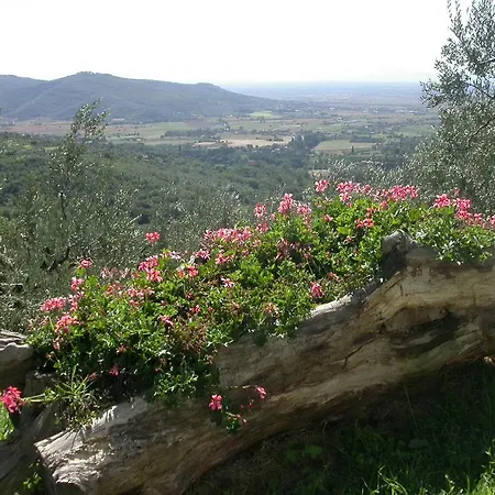 Apartamento Ciliegio Cortona